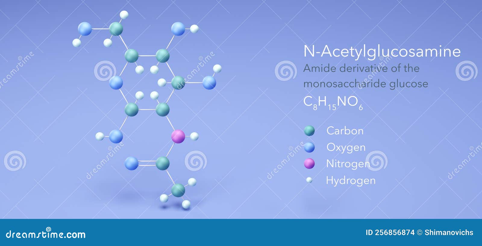 Nacetylglucosamine, Molecular Structures, Monosaccharide Glucose, 3d