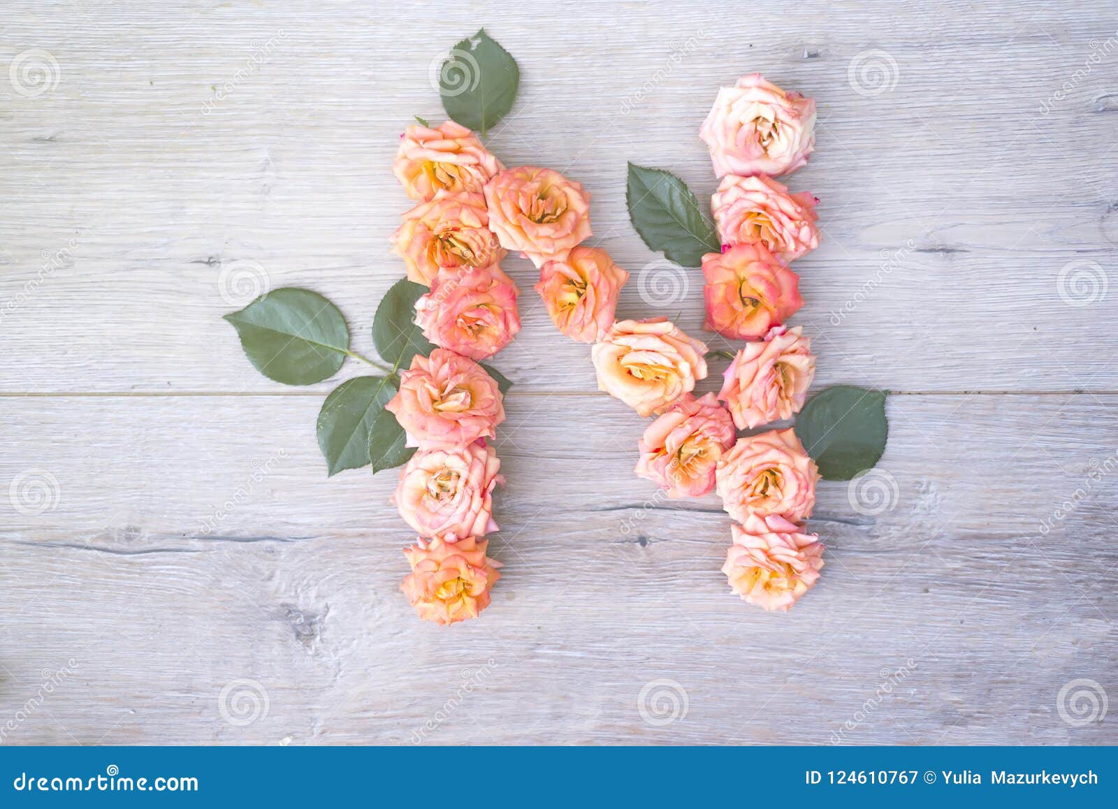 N, Roses Flower Alphabet on Gray Wooden Background, Flat Lay Stock ...