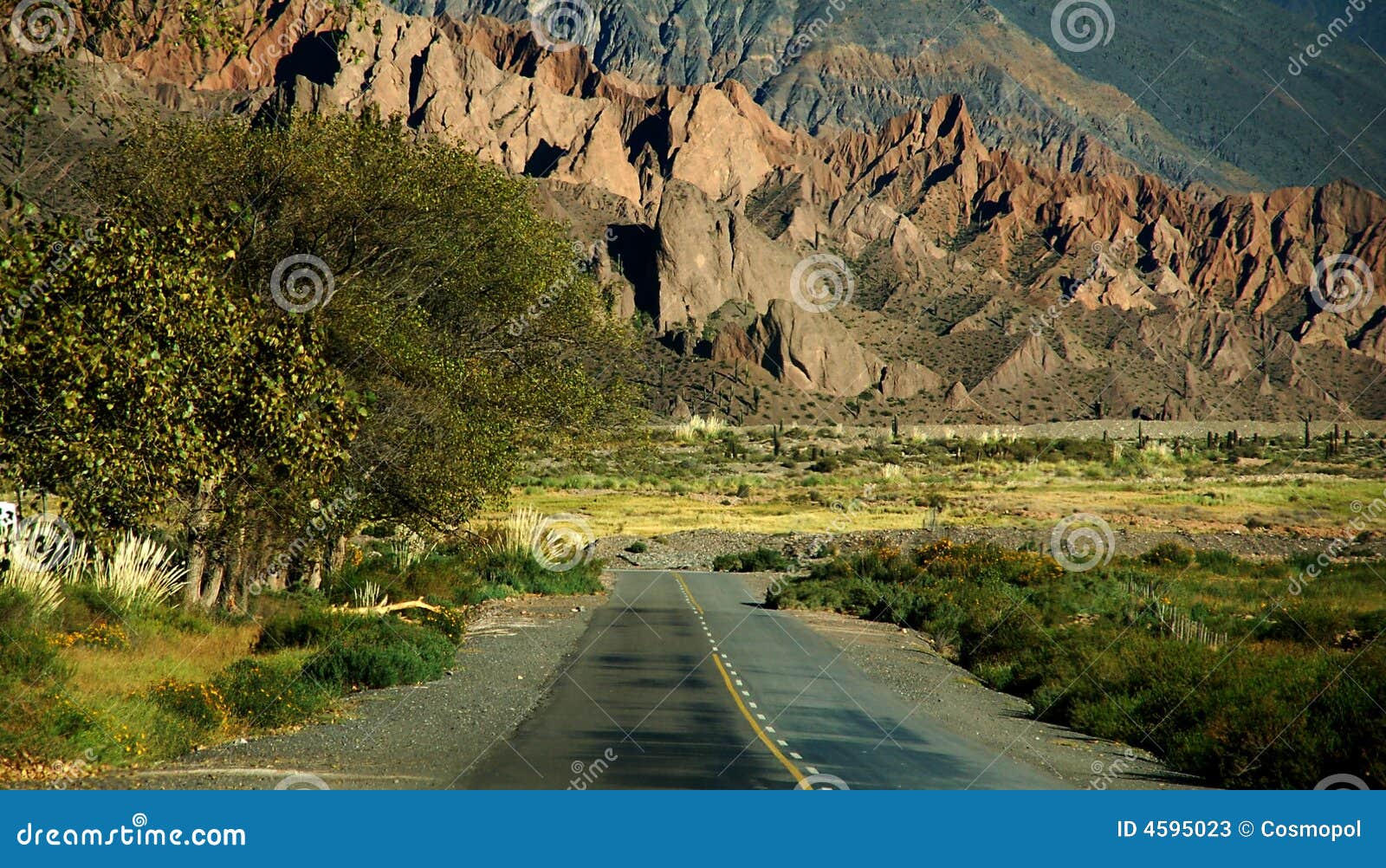 Na estrada outra vez. Estrada só com o cenário áspero em Salta, região do noroeste da montanha de Argentina