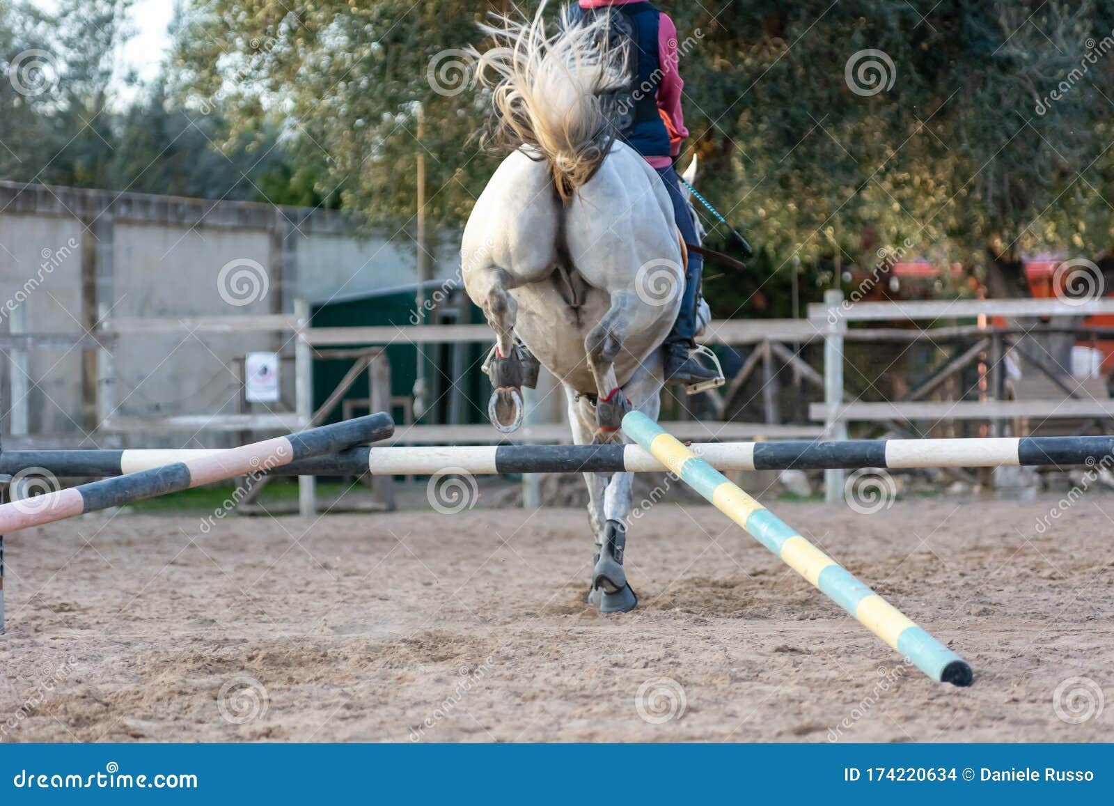 Foto de Cavalo Pulando Obstáculos Durante O Treinamento De Escola