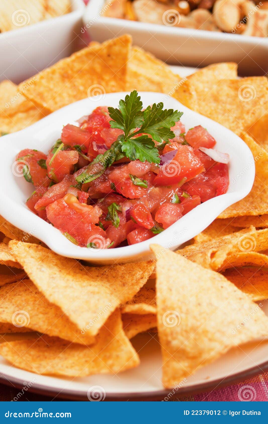 Nachos Corn Chip and Fresh Salsa Stock Photo Image of food, salty