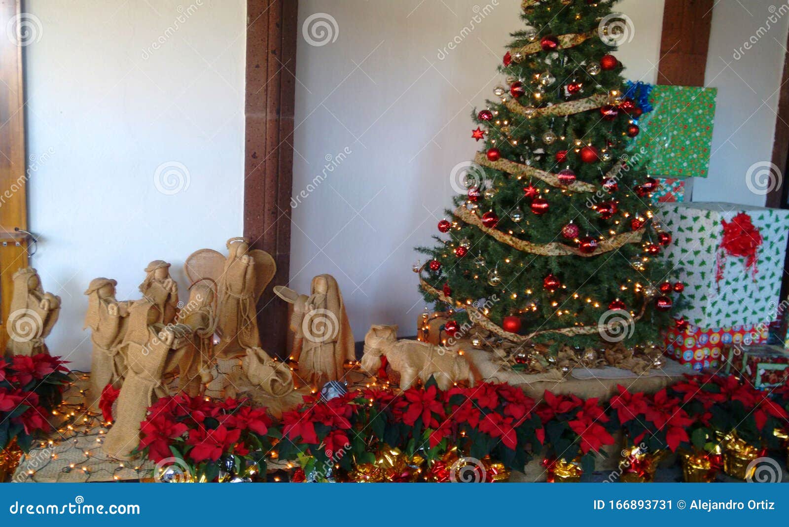 nacimiento con arbol de navidad y nochebuenas