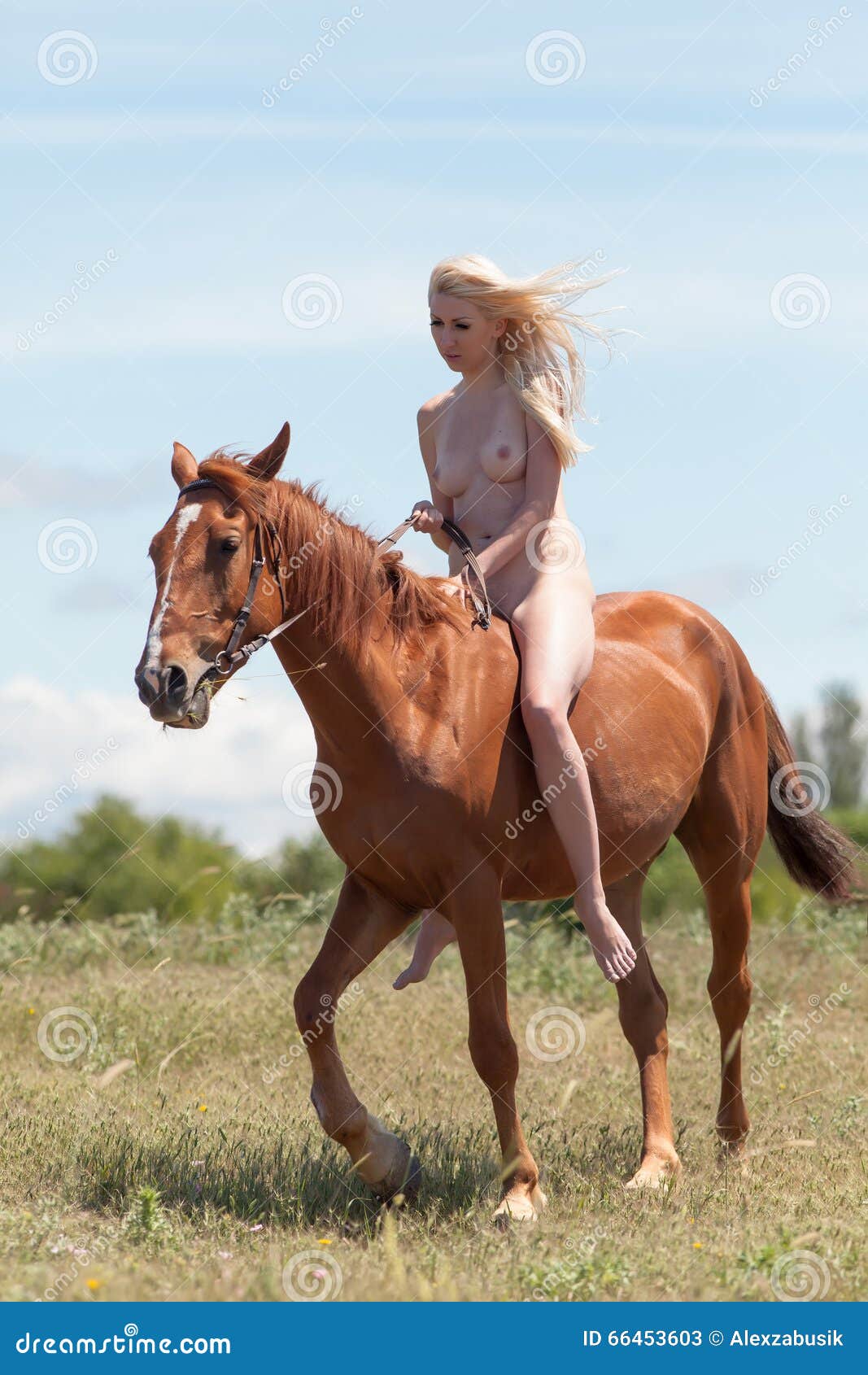 Nackt reiten pferd