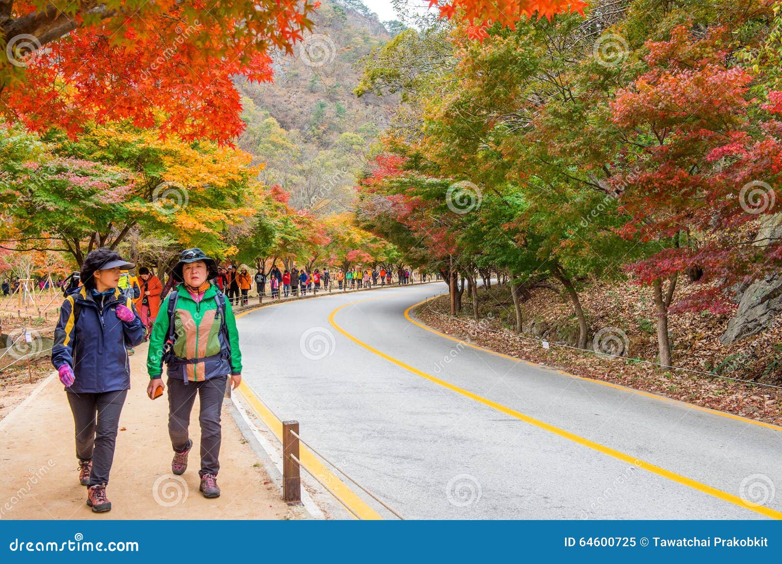 Naejangsan 韩国 11月1 拍照片的游人编辑类图片 图片包括有 Naejangsan 韩国 11月1 拍照片的游人编辑类图片 图片包括有