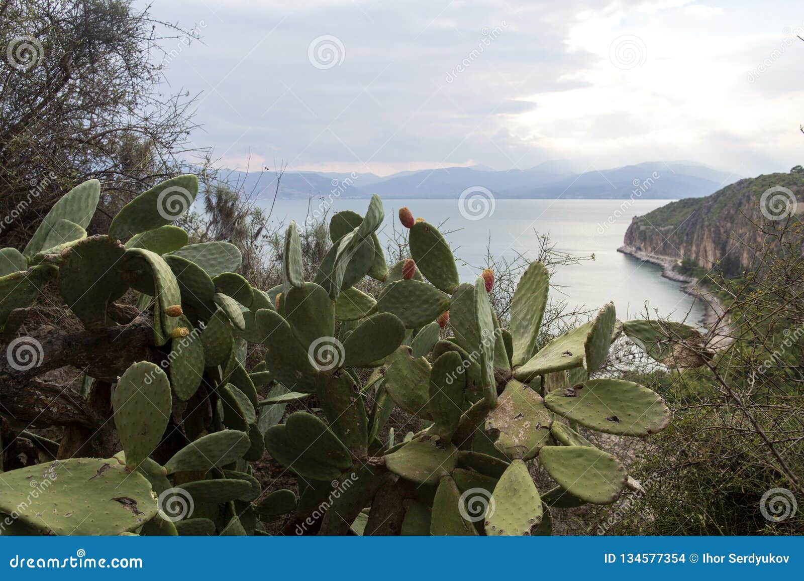 nafplio city in greece. view to old city of nafplio, peloponnese, greece -immagine