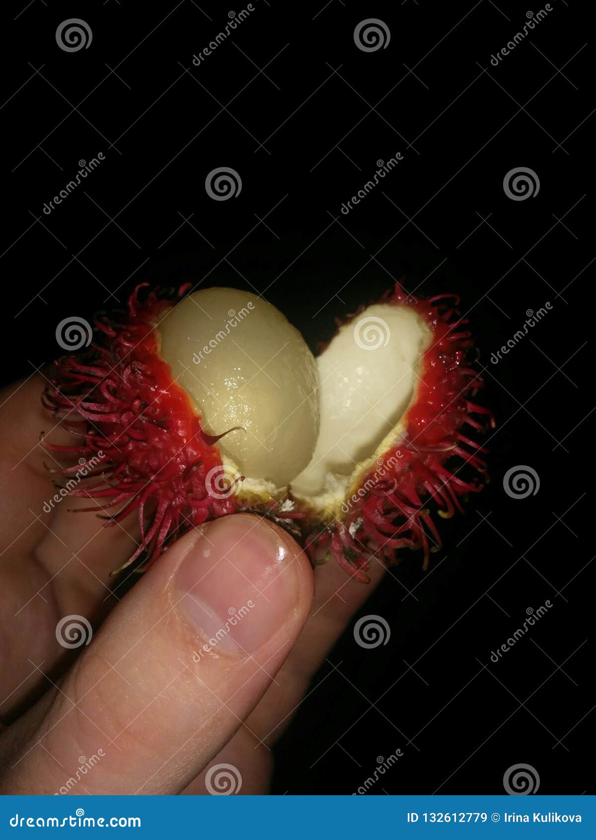 Nahaufnahme bunte frische reife Rambutanfrucht in der Hand auf dunkler Rückseite. Nahaufnahme bunte frische reife Rambutanfrucht in der Hand auf dunklem Hintergrund