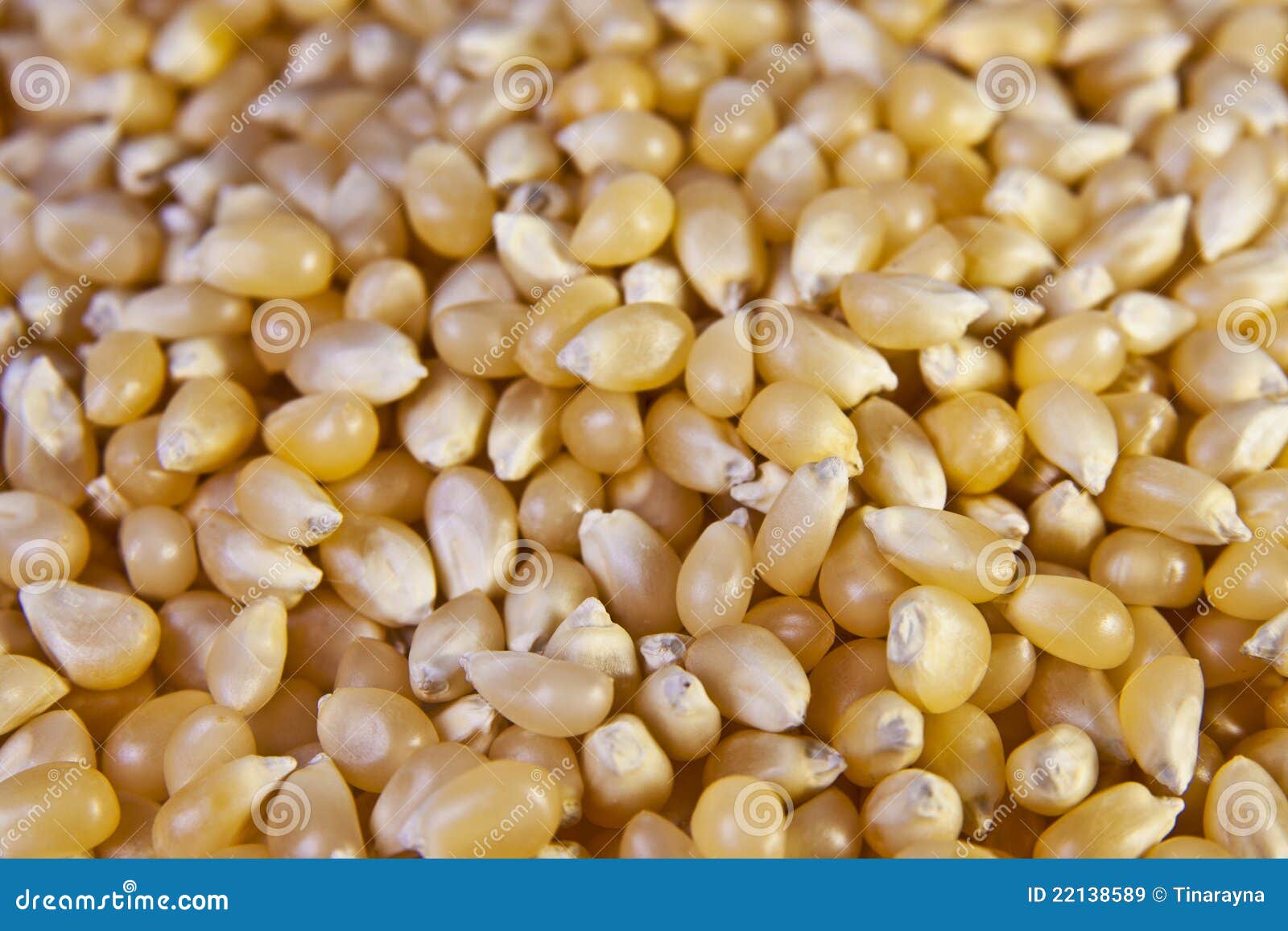 Nahaufnahme Der Popcornkerne Stockbild - Bild von popcornkerne