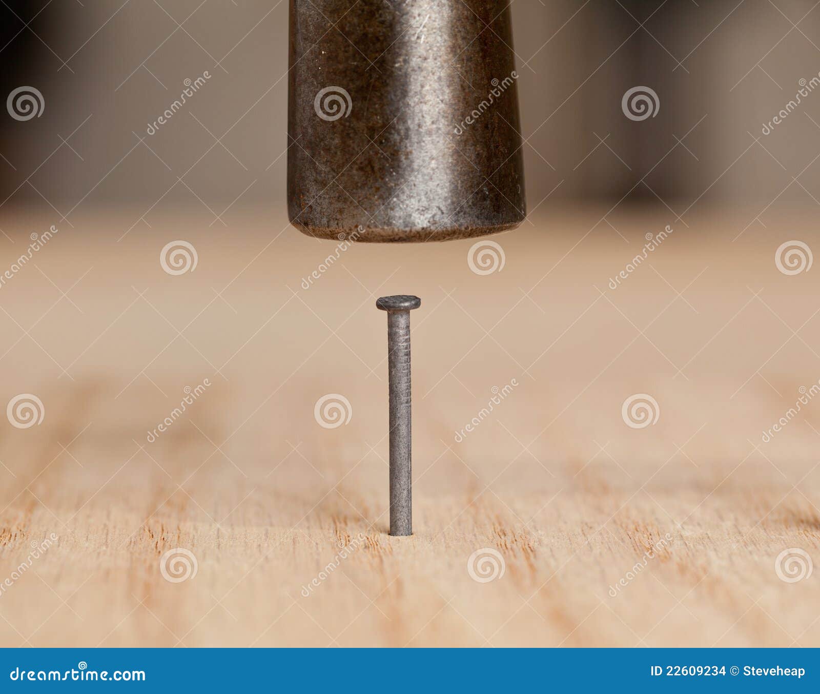 My Image 18