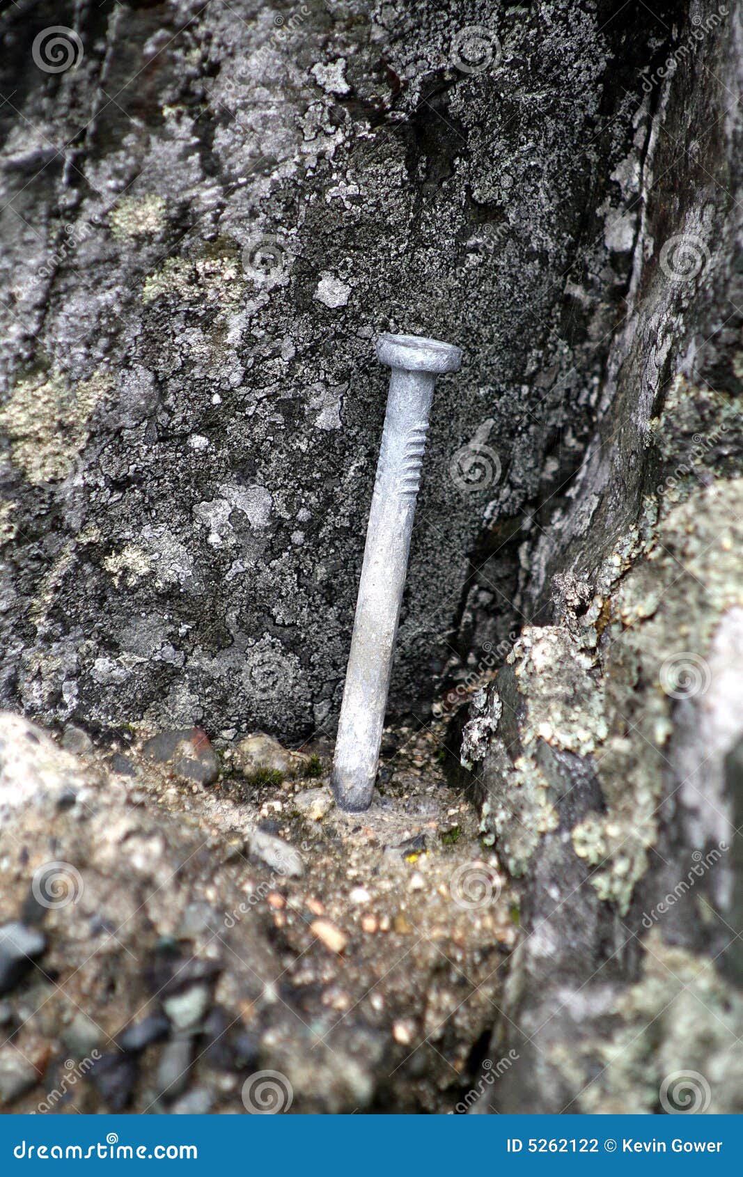 Nail in concrete stock photo. Image of nail, rock, stone 5262122