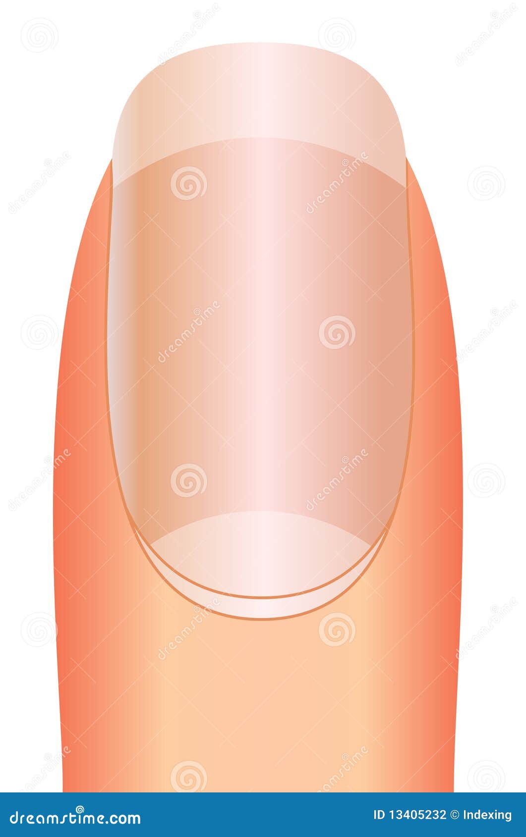 finger nail design