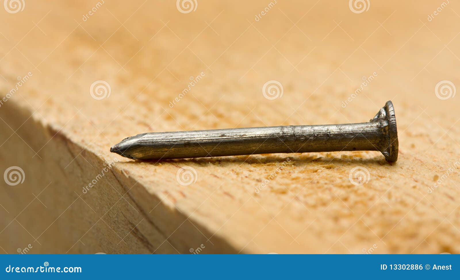 Nail on plank stock photo. Image of grey, metallic, wood 13302886