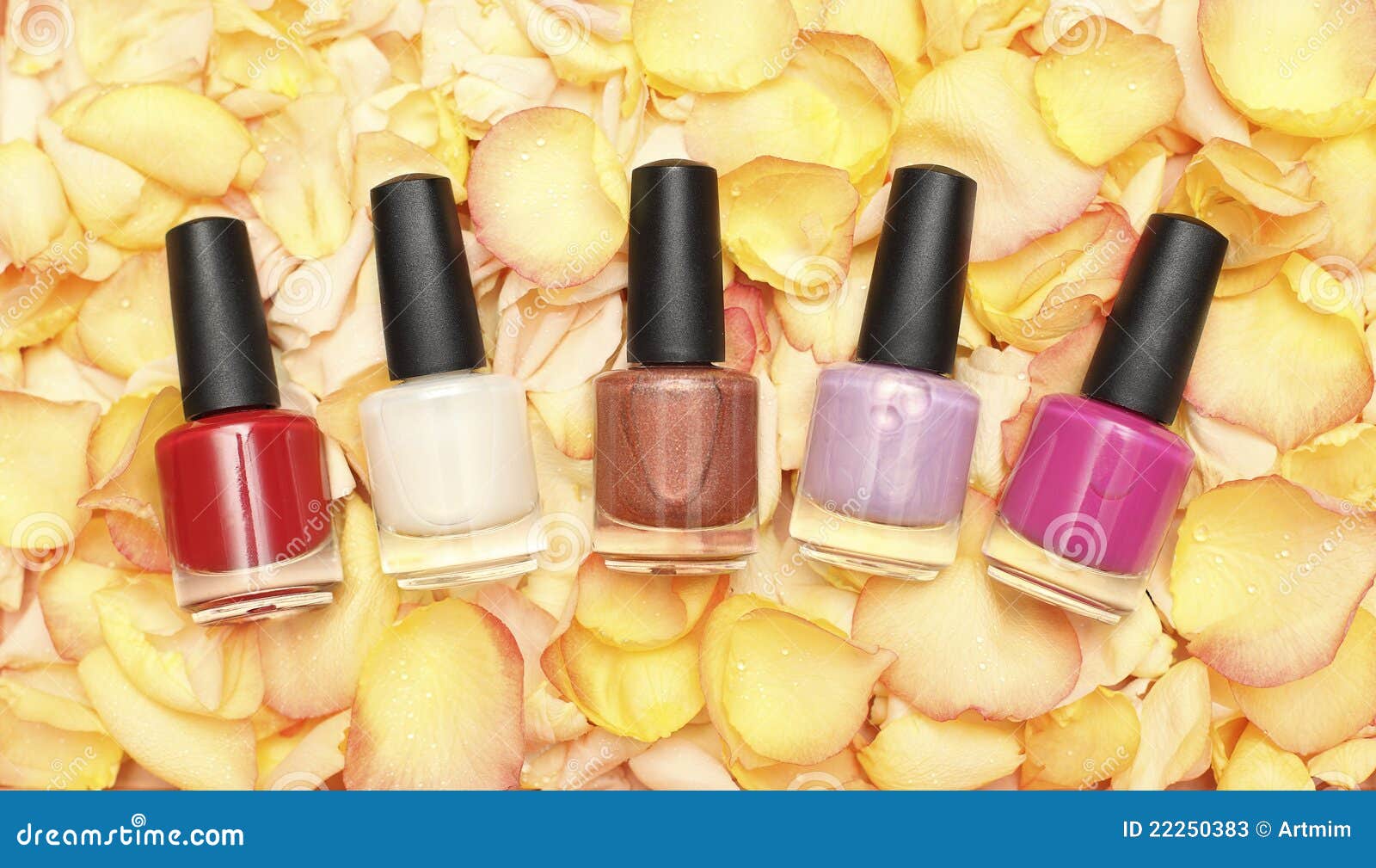 Nail polish in rose petals stock image. Image of fingernail 22250383
