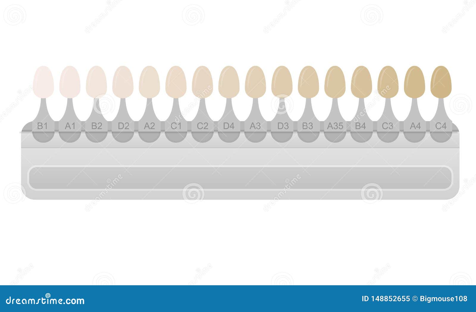 Teeth Color Chart