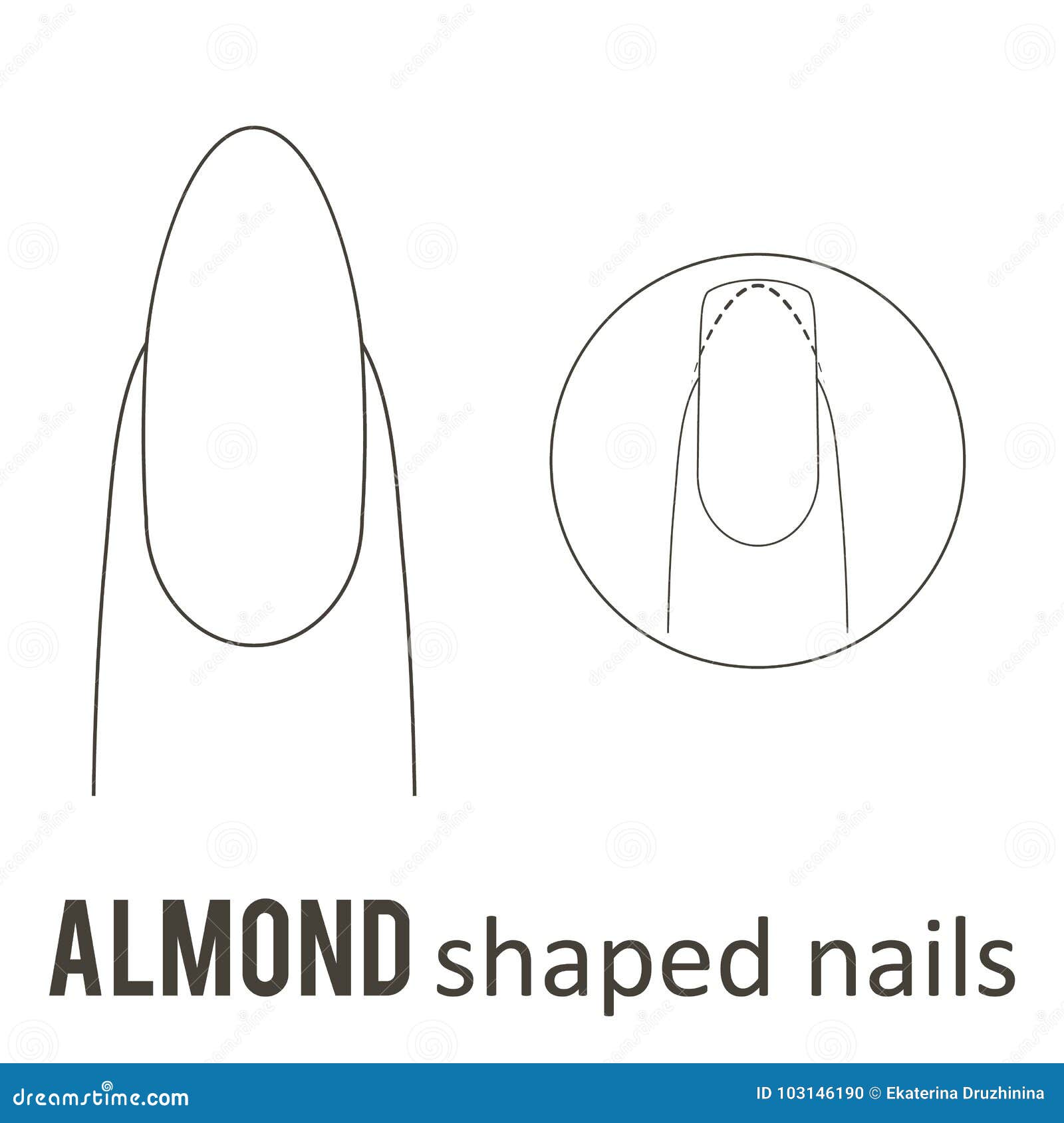Nail shape almond stock vector. Illustration of flayer 103146190