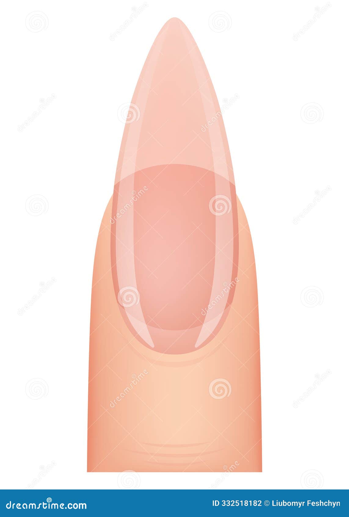 Nail Shape Manicure Type Of Fingernail Extension Professional Nail Shape Manicure Type Of Fingernail Extension Professional