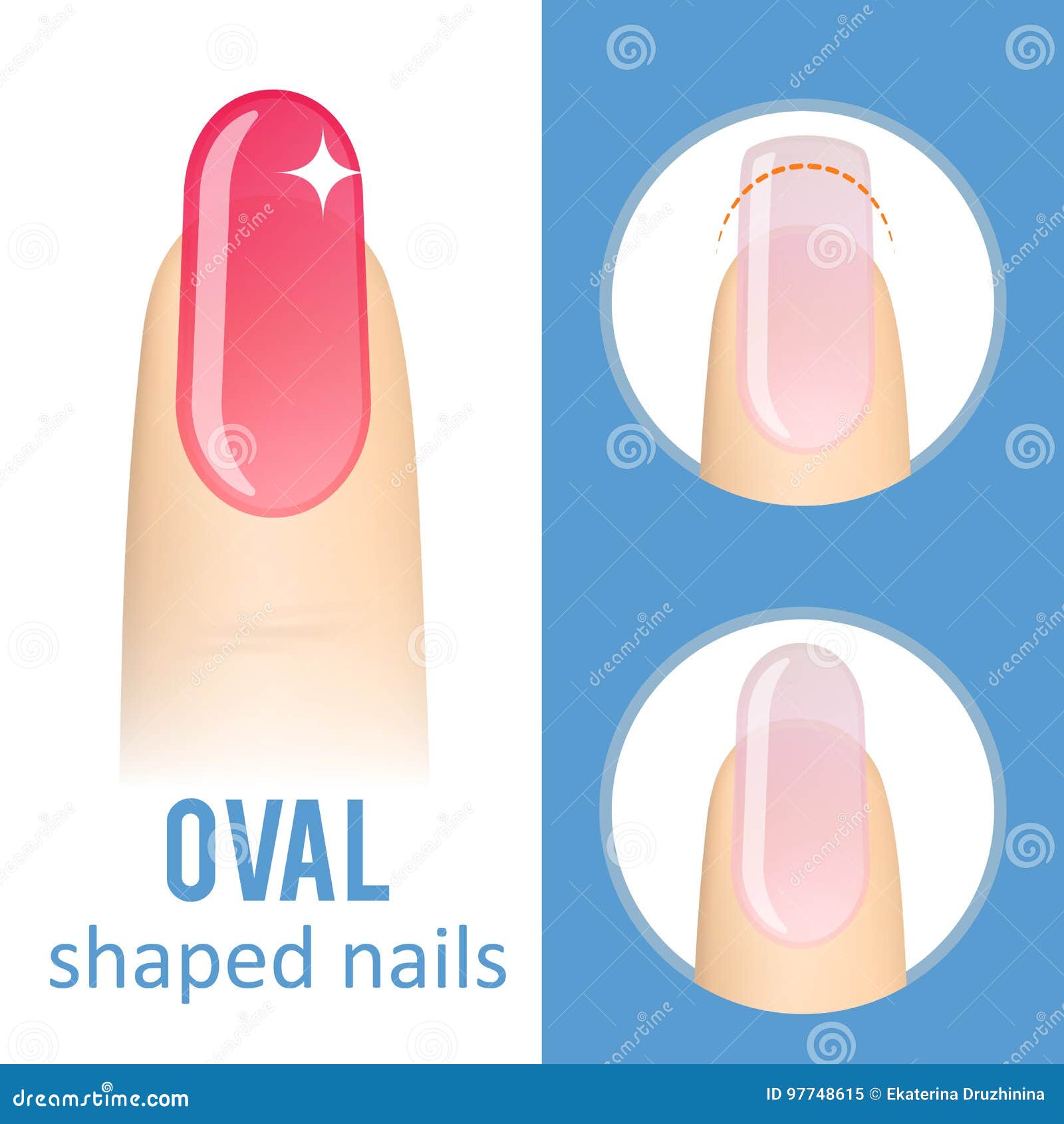 Nail shape oval stock vector. Illustration of french - 97748615 Nail shape oval stock vector. Illustration of french - 97748615