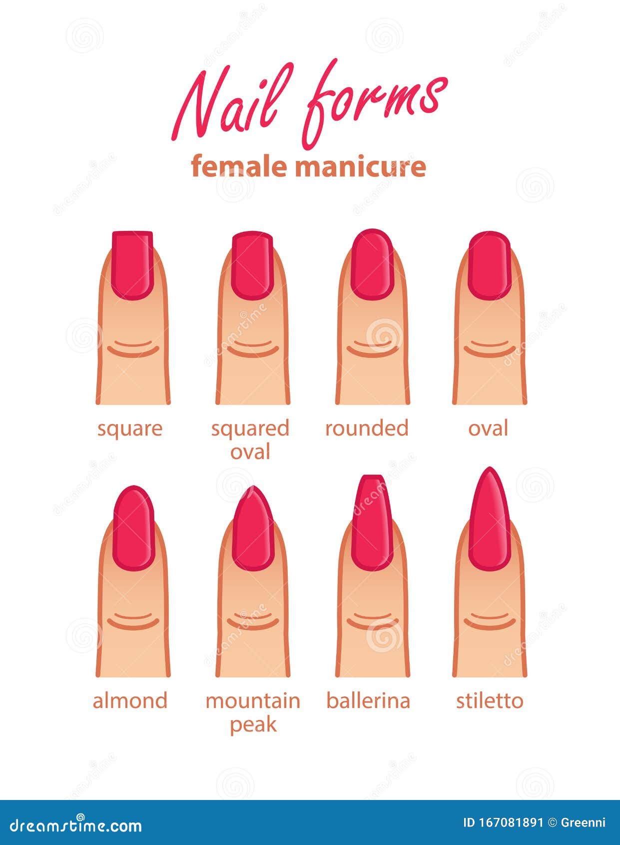 Nail Shapes Set.Female Manicure. Different Nail Forms Stock Vector ...