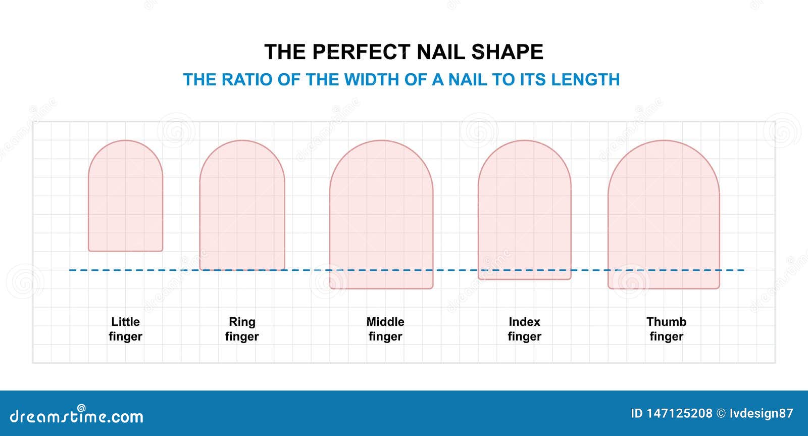 nail shaping tutorial. the ratio of the width of a finger nail to its length. the perfect nail 