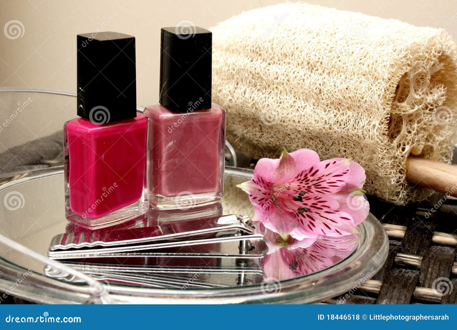 Nail Spa stock photo. Image of luxury, flower, scrub 18446518