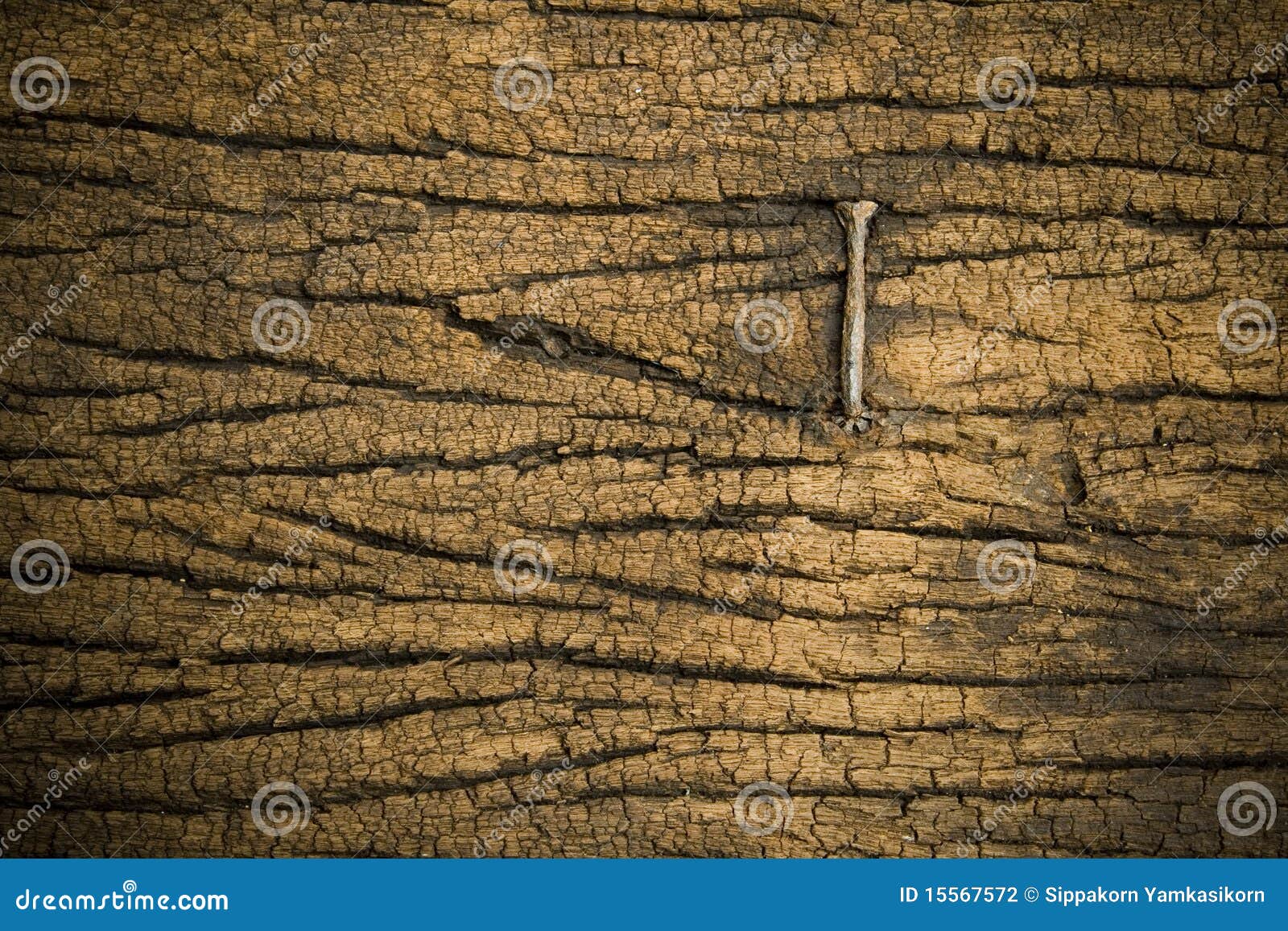 Nail on wood stock photo. Image of decay, decorative 15567572