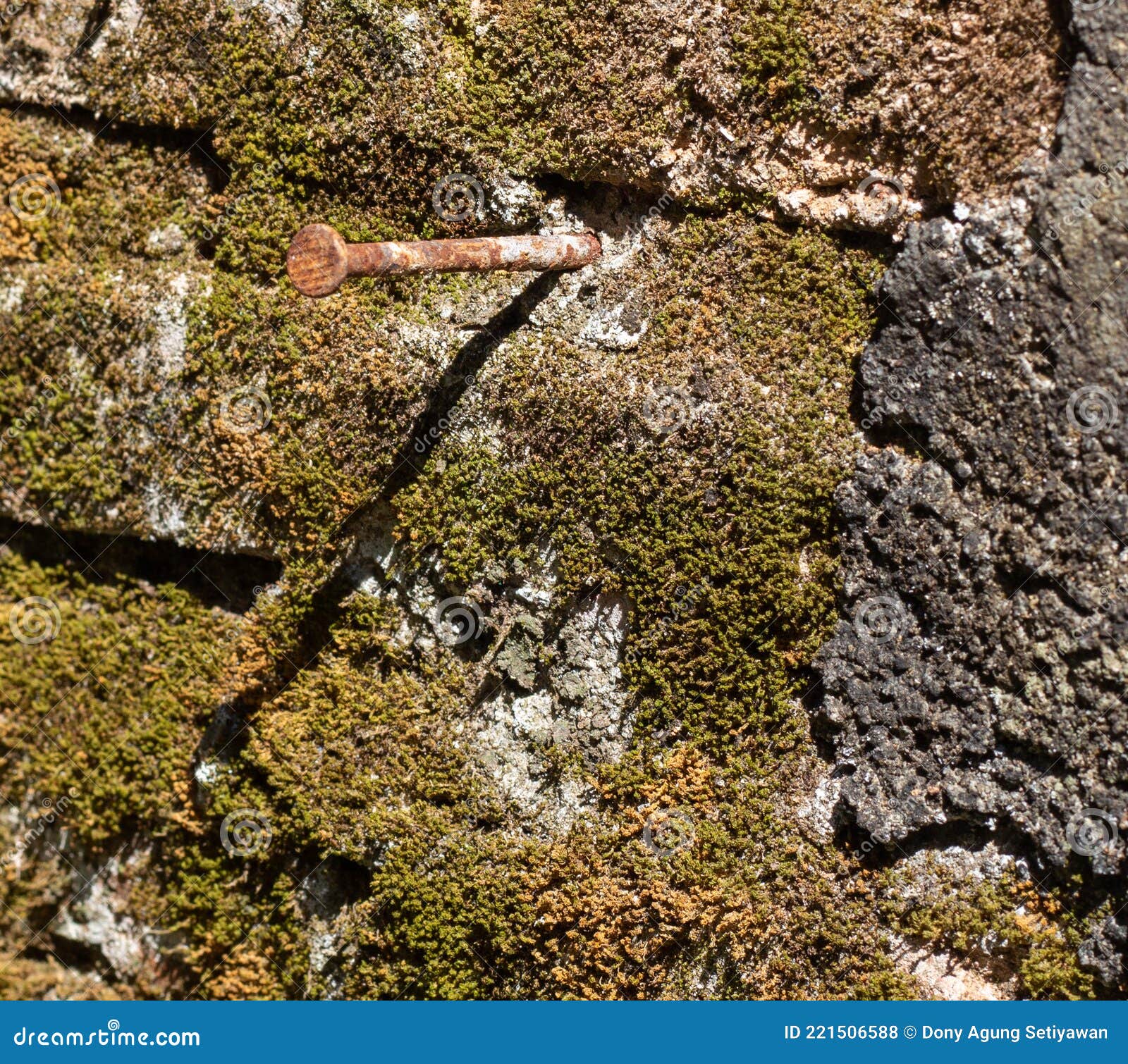 Nails in the Mossy Brick Wall. Stock Photo Image of process, wood