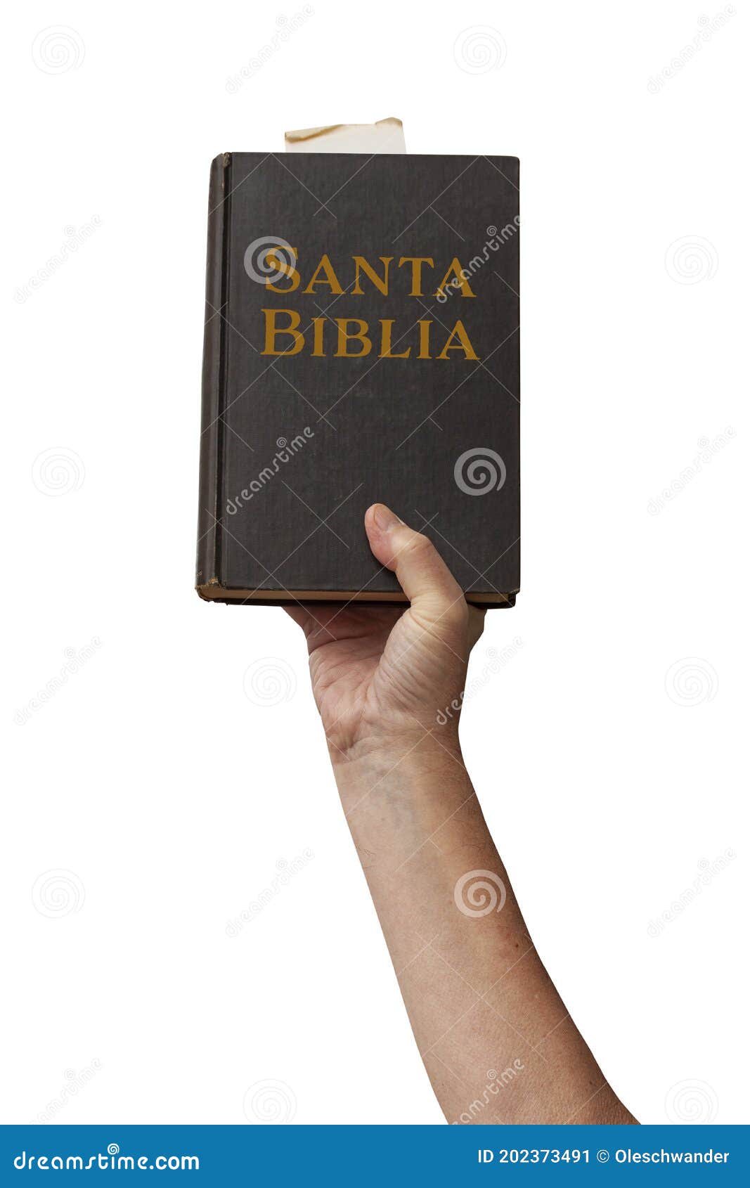 arm raised into the air with hand reaching up holding the santa biblia - holy bible in spanish