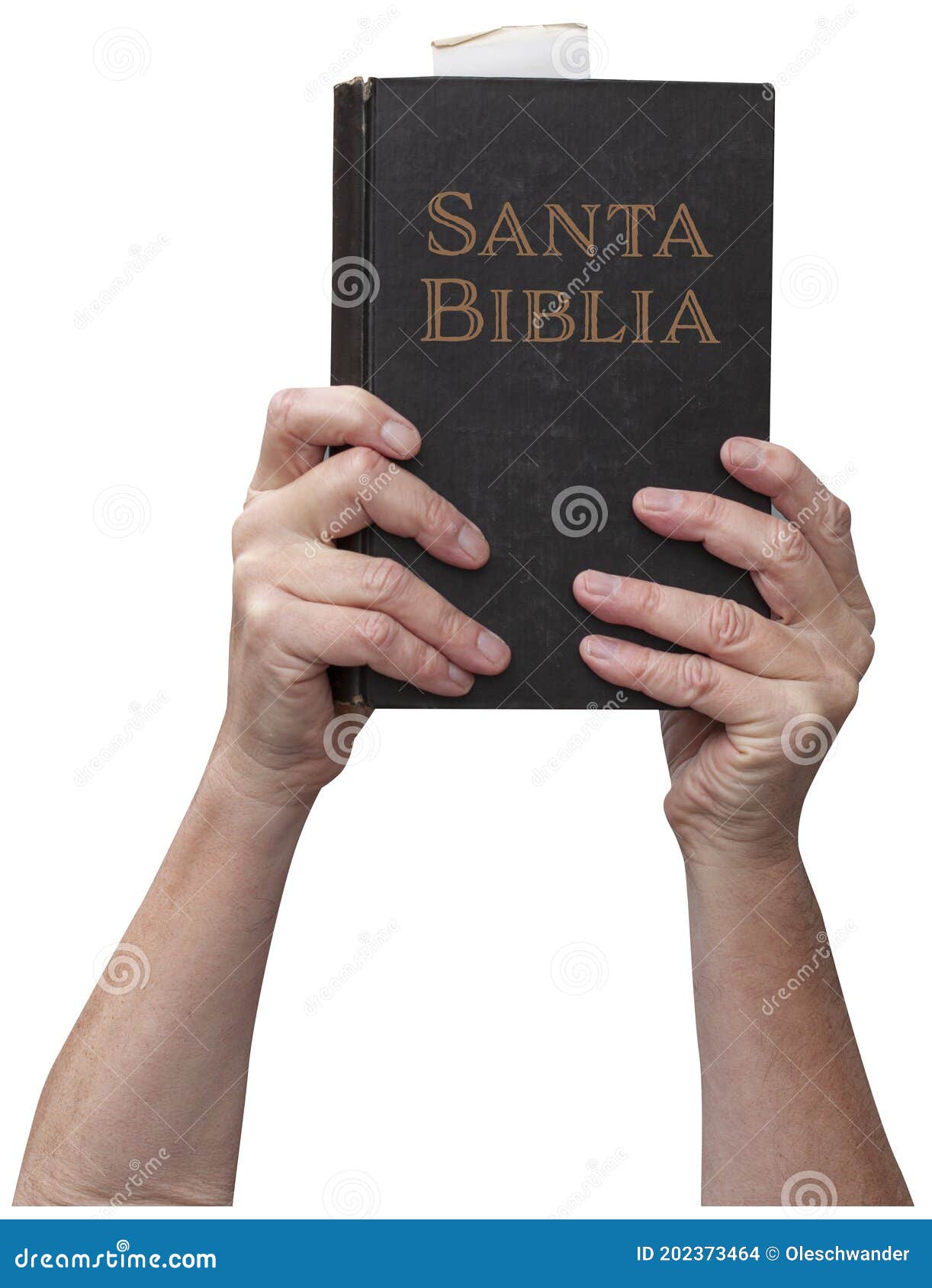 arms raised into the air with hands reaching up and holding the santa biblia - holy bible in spanish