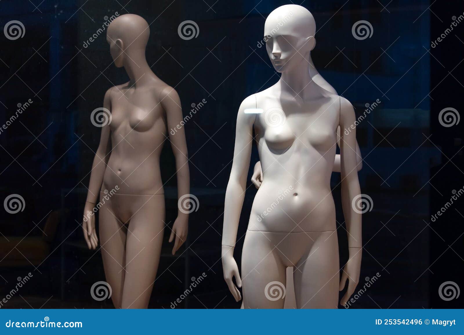 Empty human manikin head stock image. Image of naked - 90208959