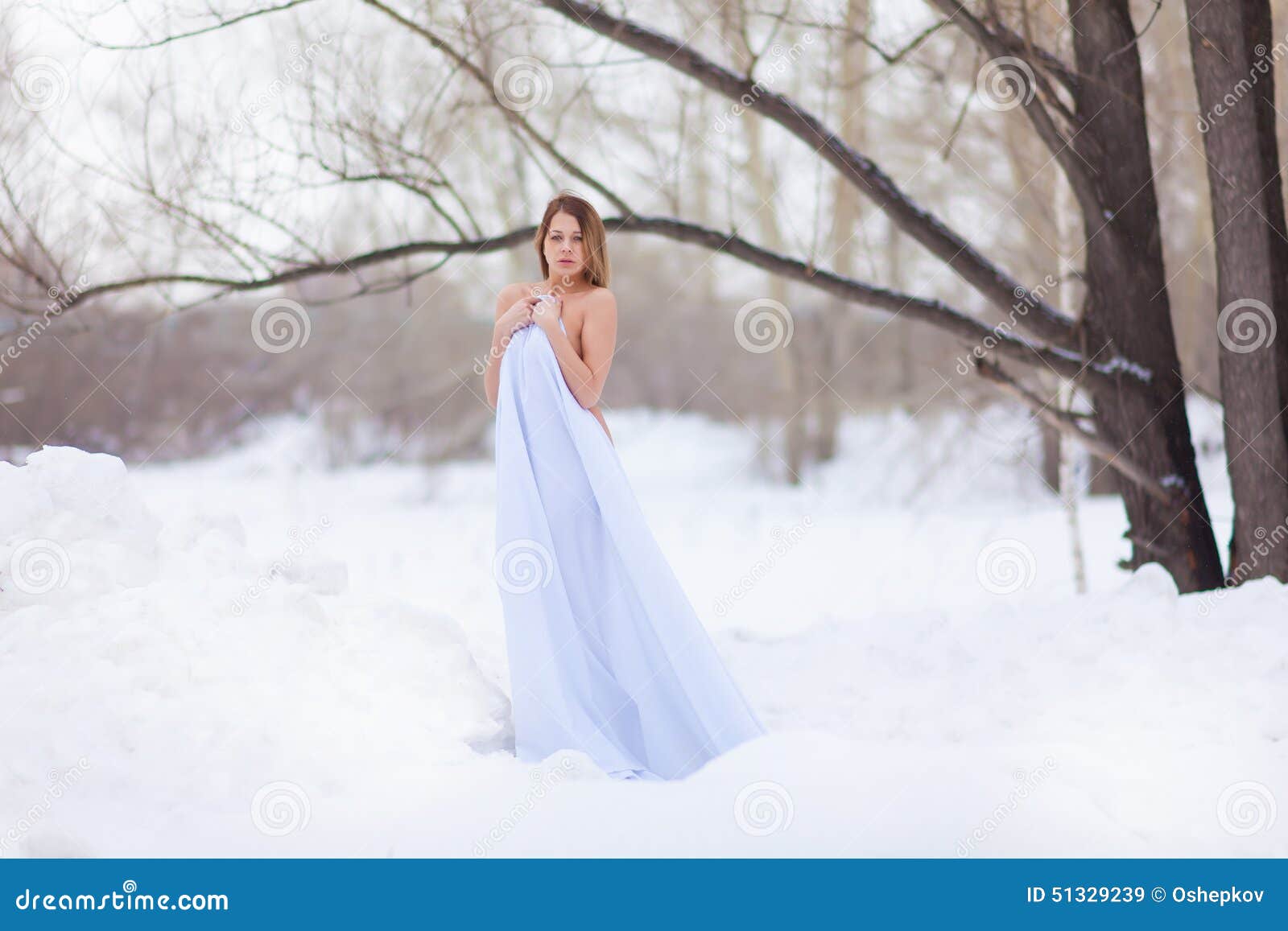 Naked Girl In Winter Forest Stock Image Image Of Model Cold 51329239