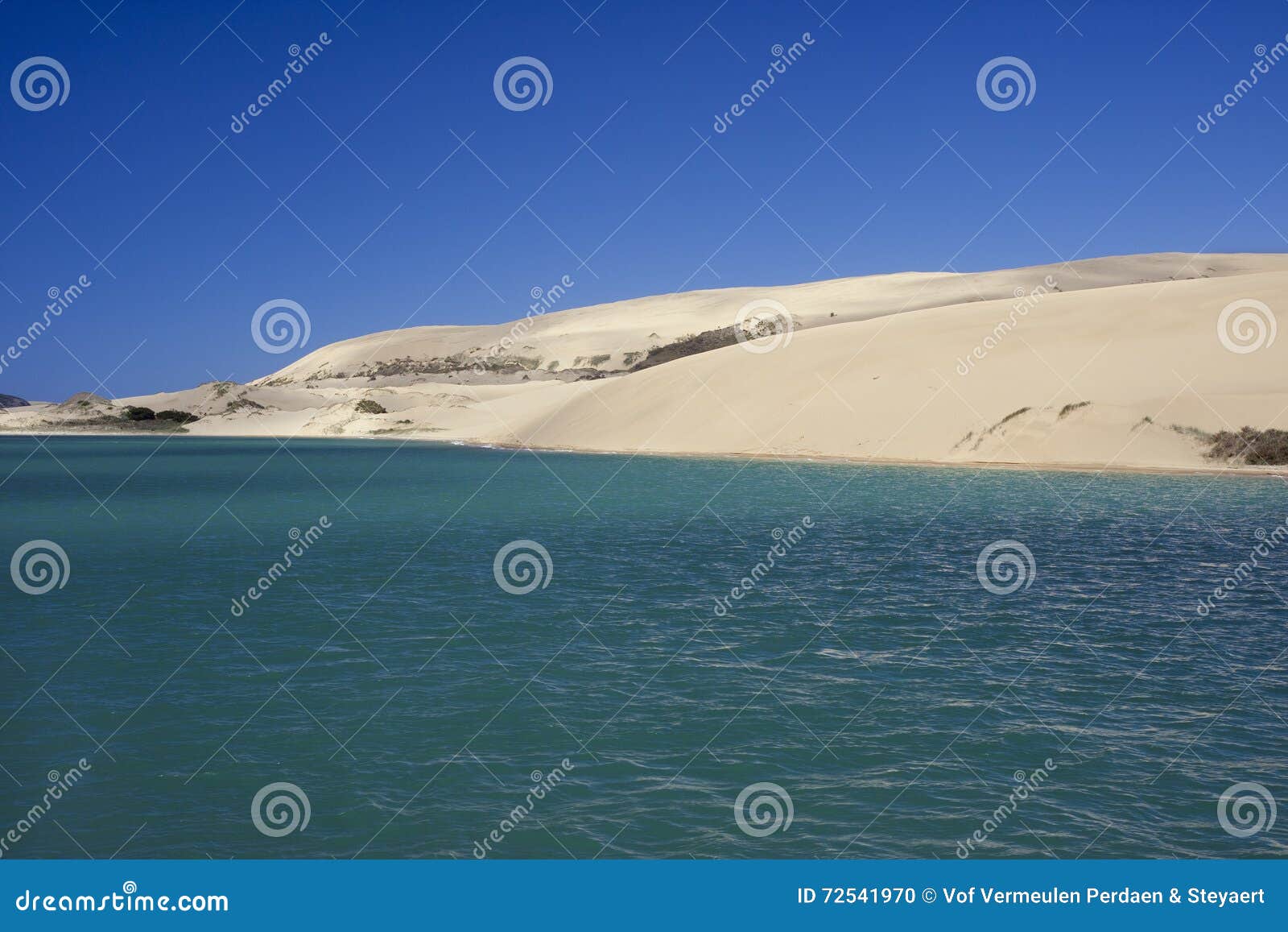 Naked Sand Dunes In Hokianga Harbour Stock Photography CartoonDealer