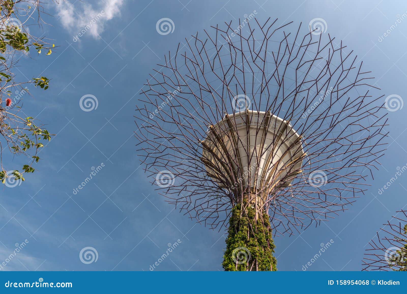 Naked Supertree In Golden Garden At Gardens By The Bay Singapore