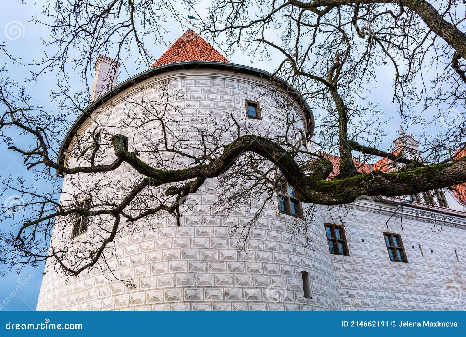 naked tree branch before the tower of the newest part of bauska castle