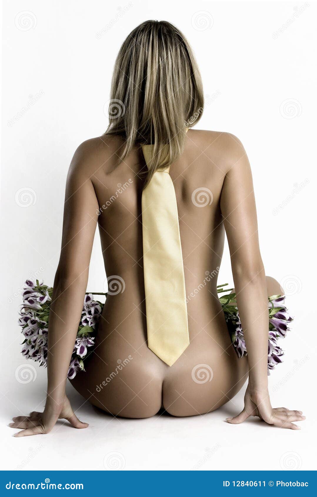 Naked Woman Wearing a Tie Sitting Back To Front Stock Image - Image of  erotic, back: 12840611