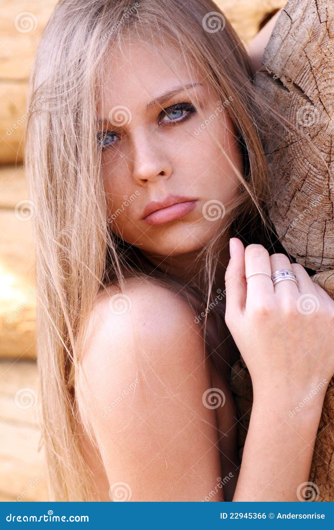 Naked young woman stock photo. Image of nude, naked, american - 22945366