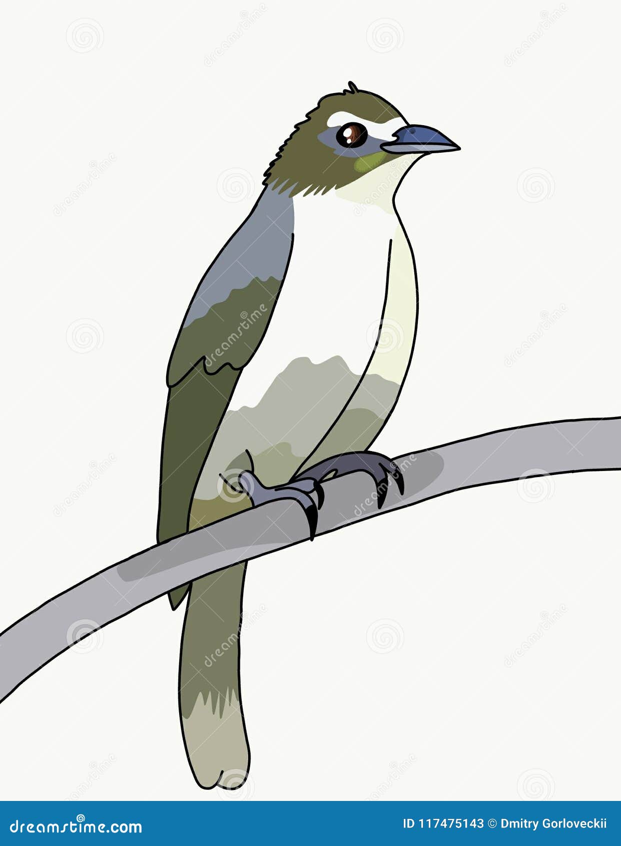 Bird Bulbul. stock illustration. Illustration of arabic - 117475143 Bird Bulbul. stock illustration. Illustration of arabic - 117475143