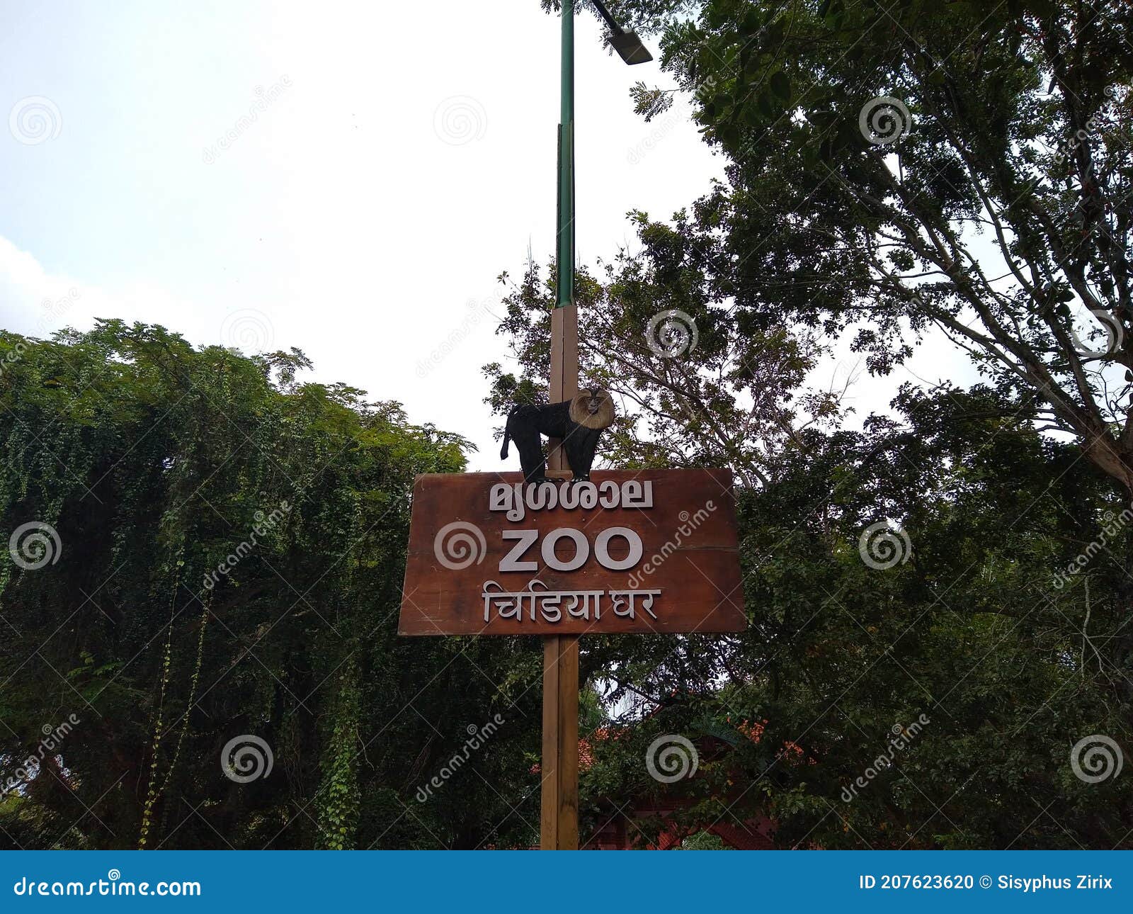Name Board Zoo, Trivandrum, Kerala Stock Photo Image of advertising