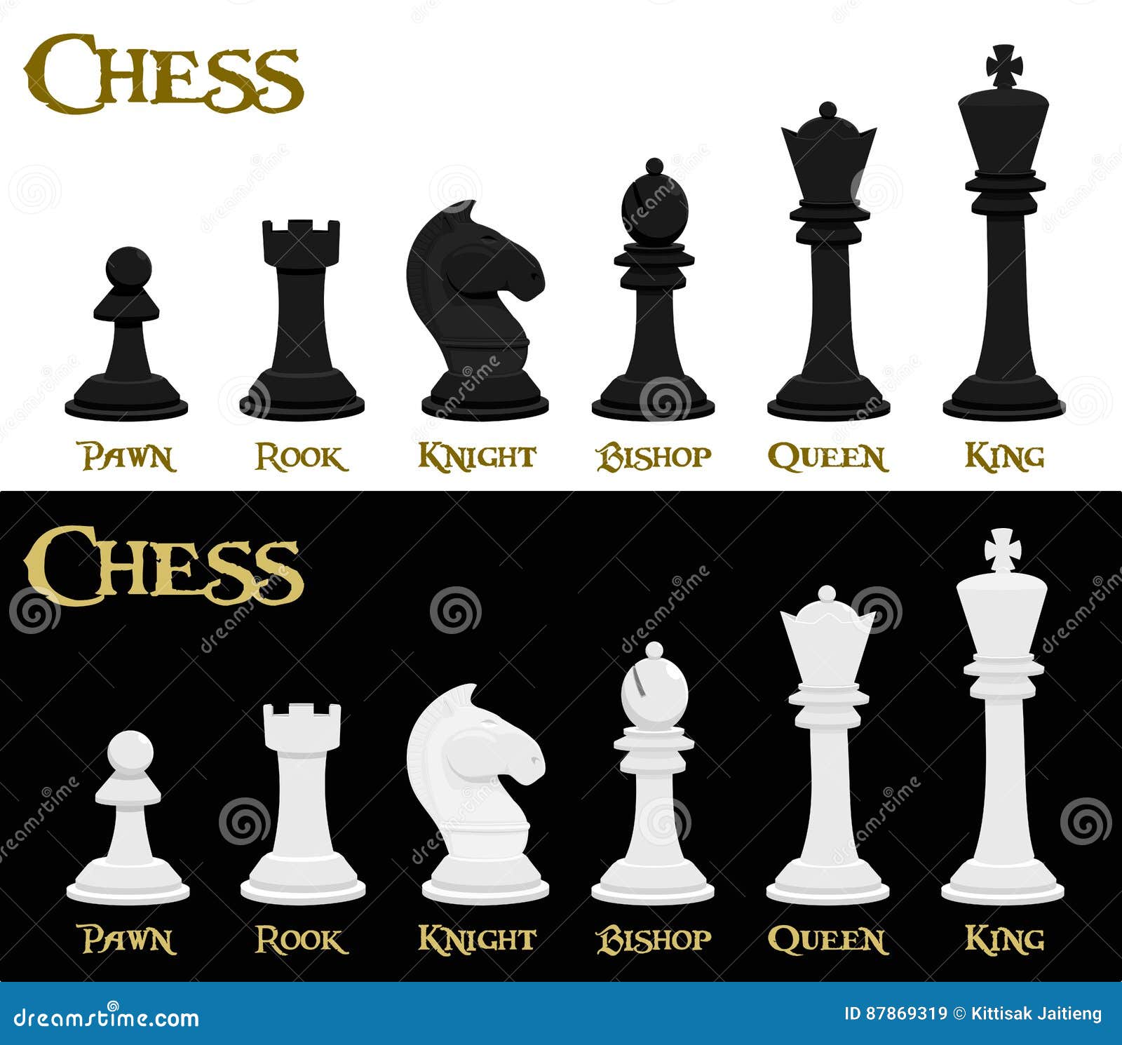 The names of chess pieces