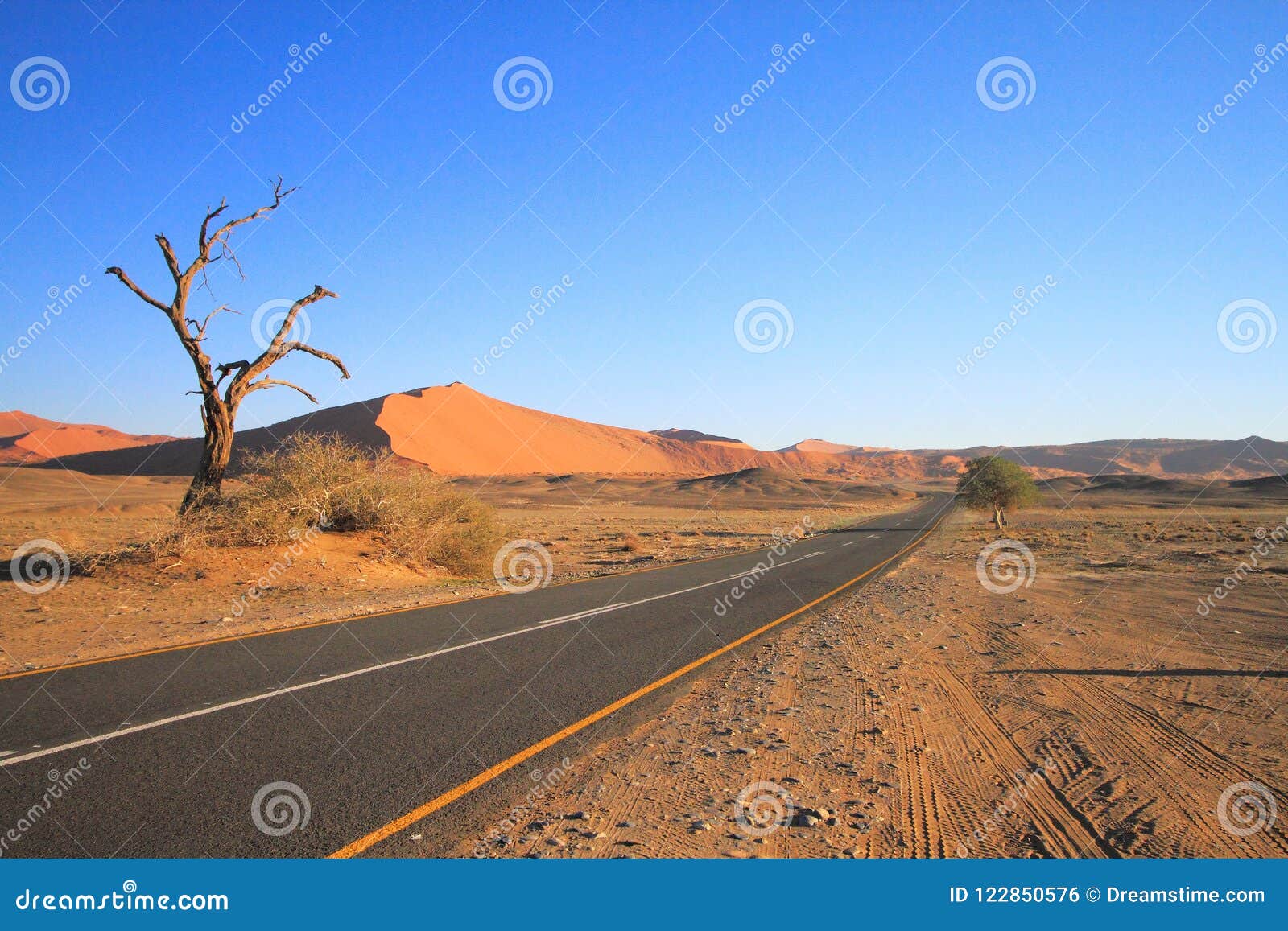Namibwoestijn: Vroege ochtend in Sossusvlei. De vele gezichten van Sossusvlei; allen zijn prachtig om te zien Van de goede geteerde weg, door de dode boom, aan scherp - geschetste duinen in de afstand: allen zijn een genoegen aan behold En toch: dit is een woestijn, genadeloos op de unwary reiziger Iedereen wie uit in de woestijn wandelen moet een goede levering van water levend nemen, om te blijven als zij zouden moeten verloren gebeuren te worden