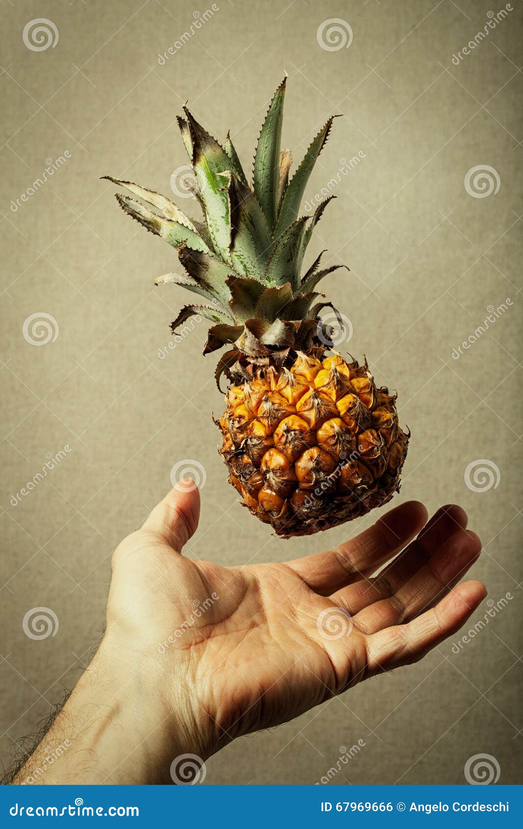 nano pineapple. nature and man. food lightness.