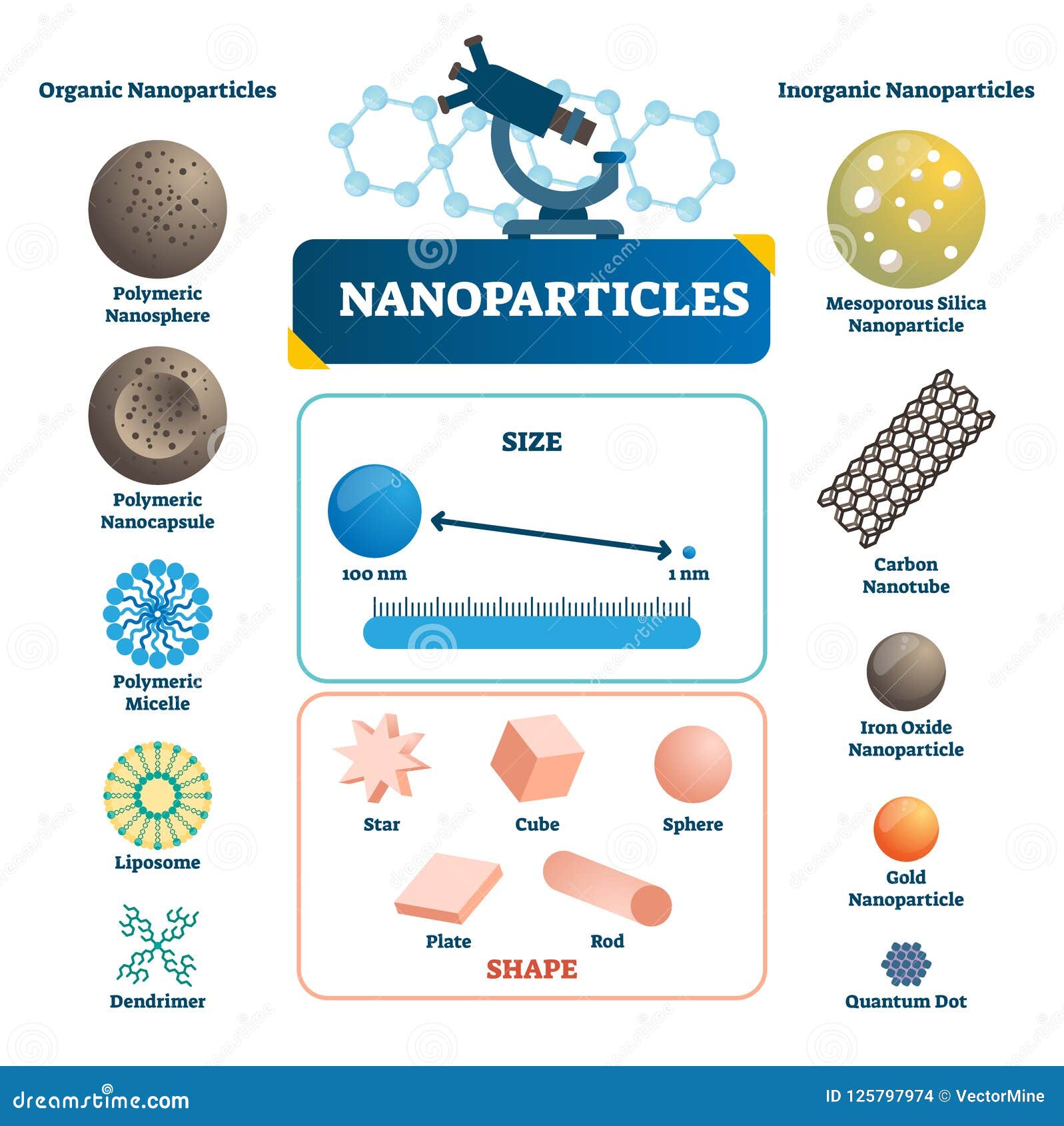 nanoparticles labeled infographic. microscopic   .