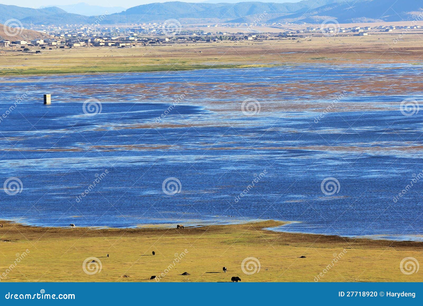 Napa lake stock photo. Image of zhongdian, grassland 27718920