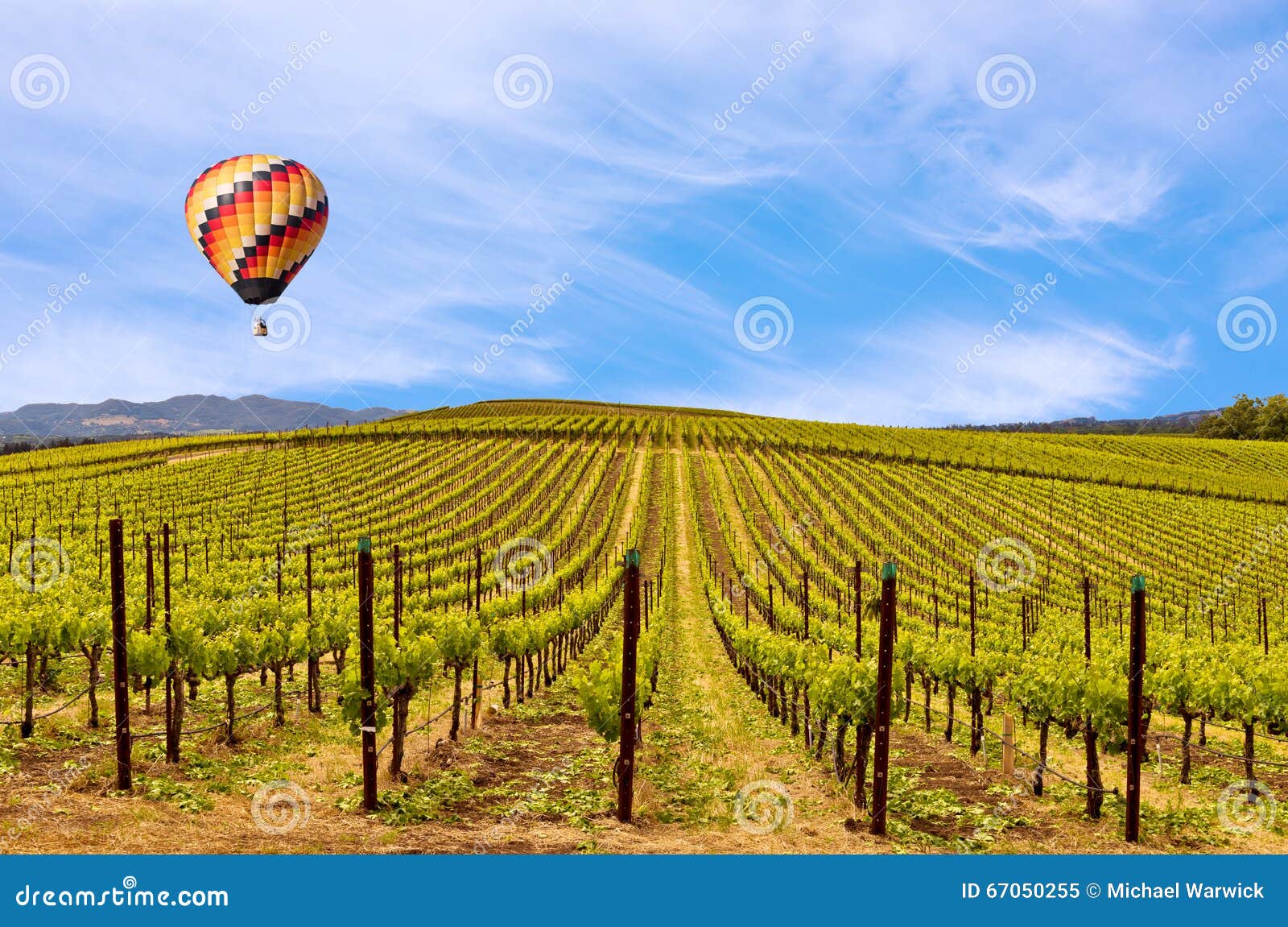 napa valley vineyards, spring, mountains, sky, clouds, hot air balloon