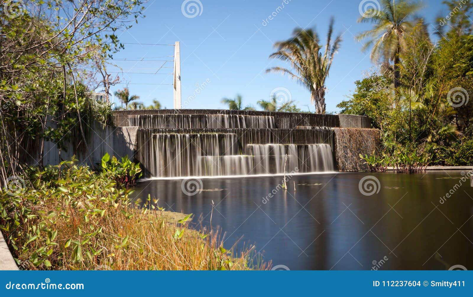 Reflective Pond With Water Lilies And Plants At The Naples