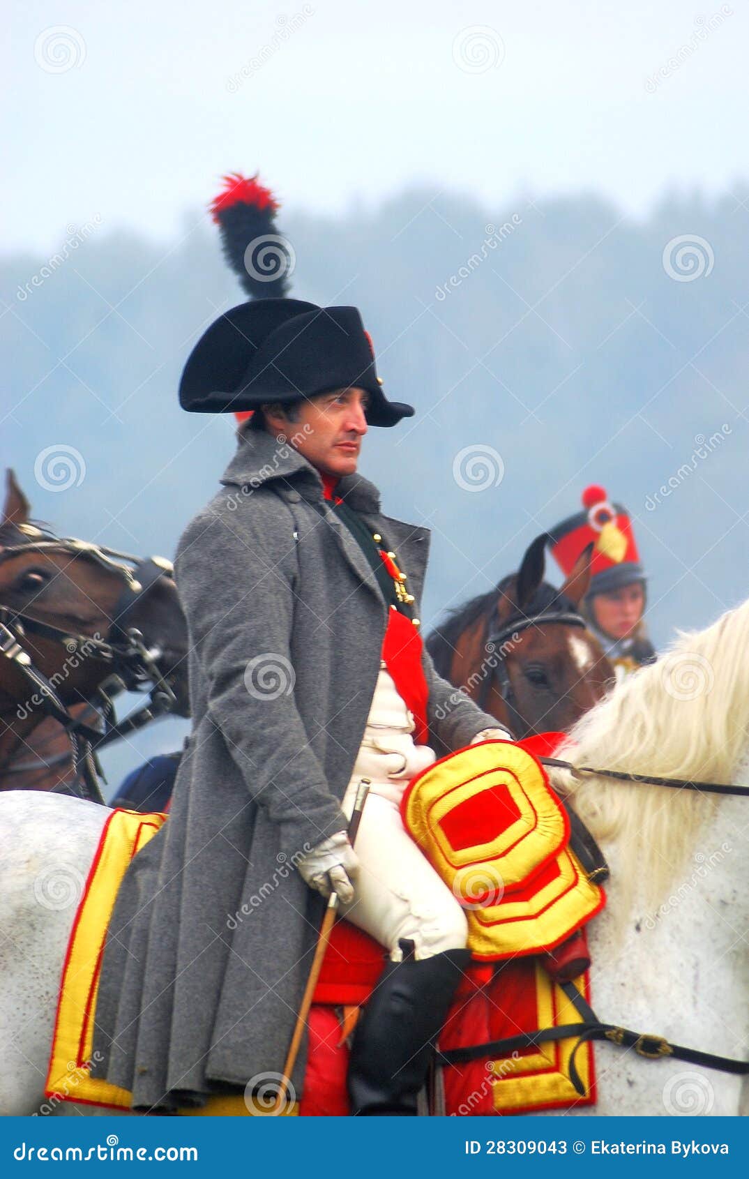 Riding ladies napoleon horsevisual /