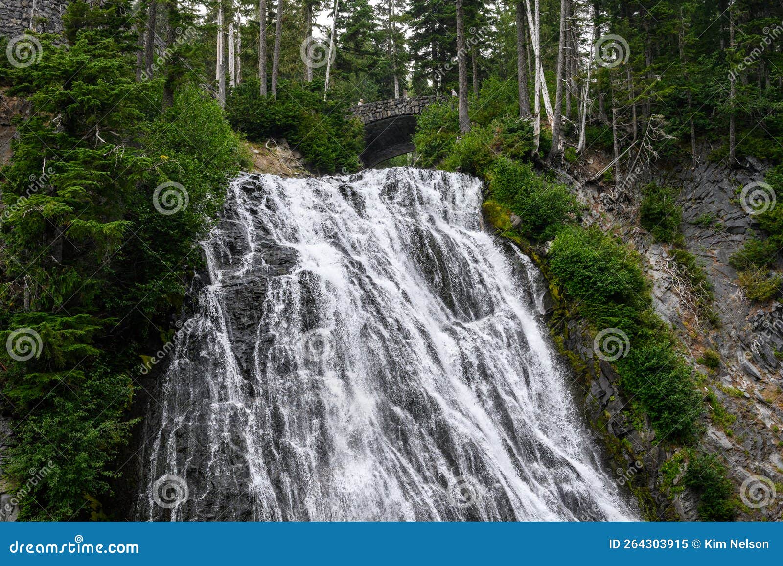 narada falls, a braded waterfall, viewed from below in mt. rainier national park