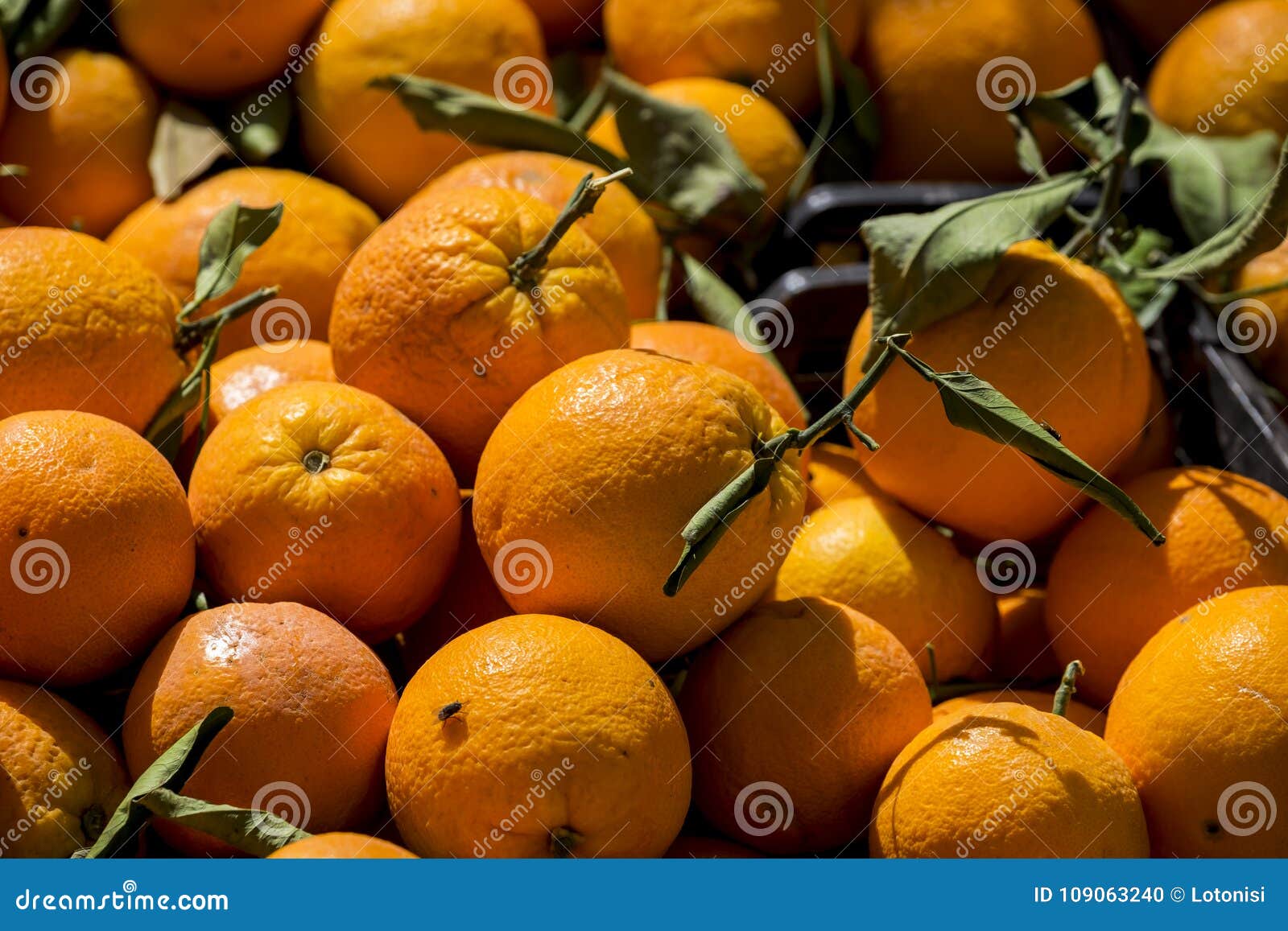 naranjas listas para vender en el mercado