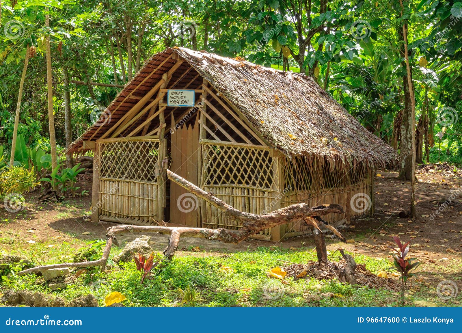 123 Naras Photos Free Royalty Free Stock Photos From Dreamstime 123 Naras Photos Free Royalty Free Stock Photos From Dreamstime