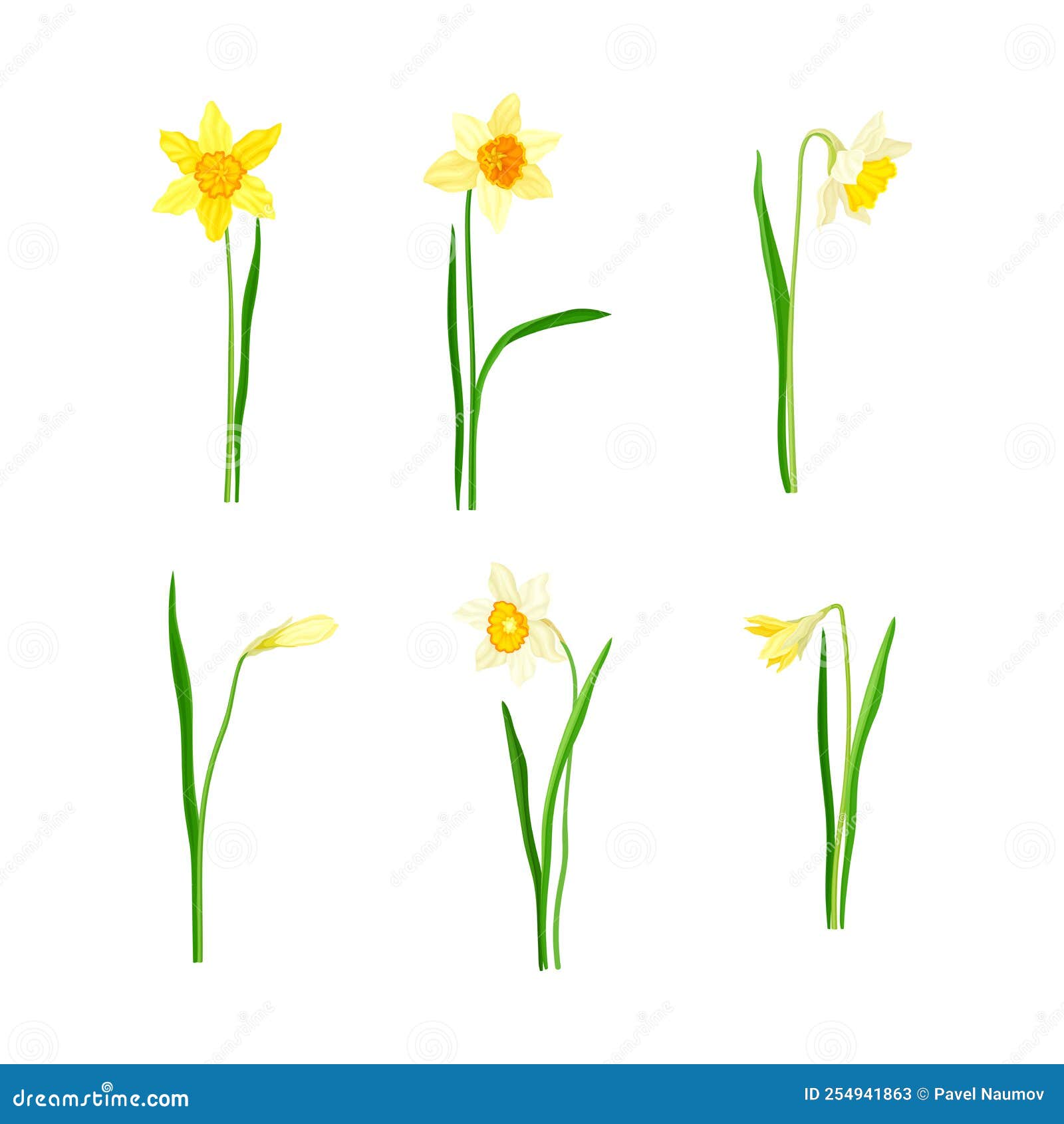 597 Daffodil Tattoo Images Stock Photos  Vectors  Shutterstock