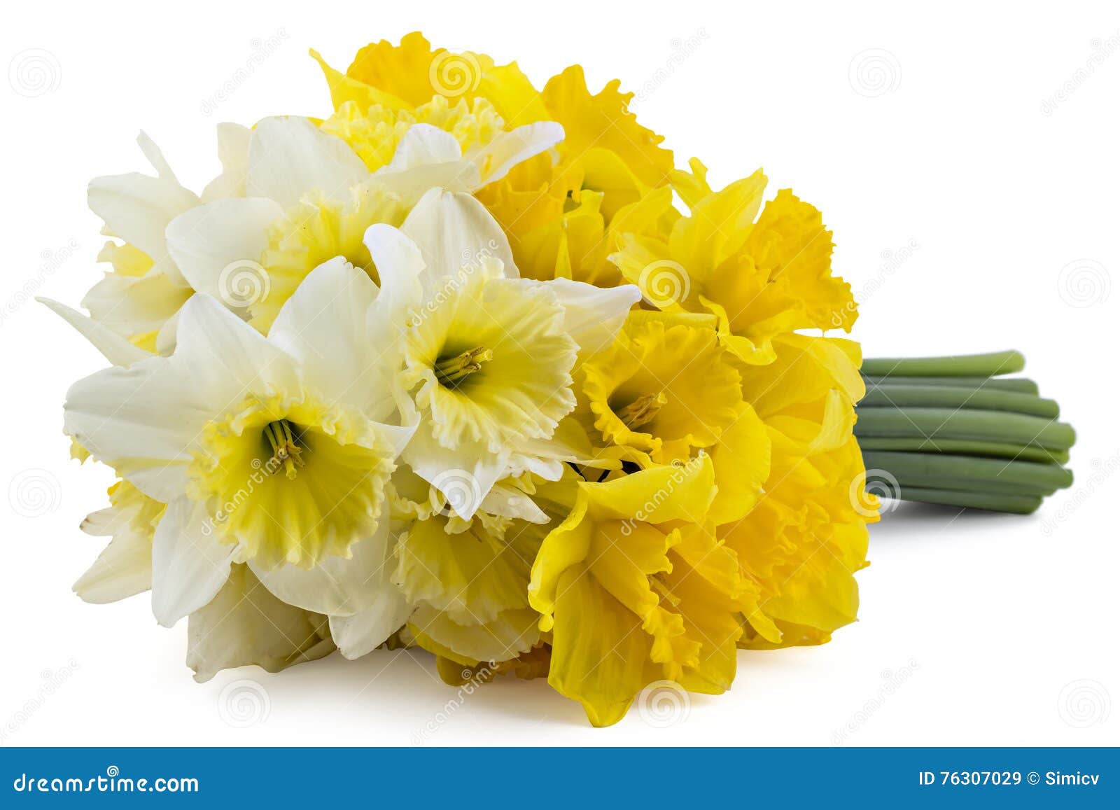 Narcissus Bouquet image stock. Image du jardin, centrale - 76307029