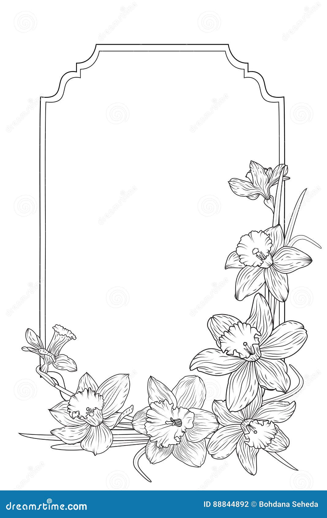 Download Narcissus Daffodils Spring Floral Border Frame Stock ...
